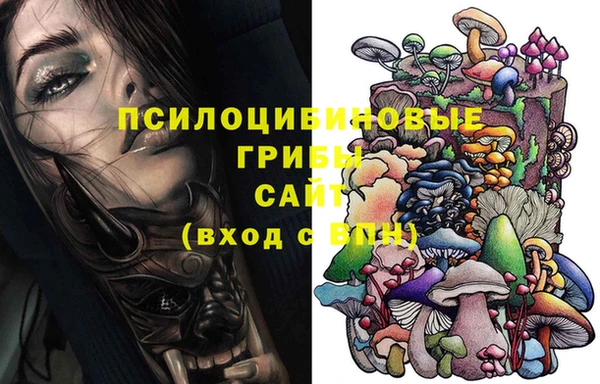 мескалин Инта
