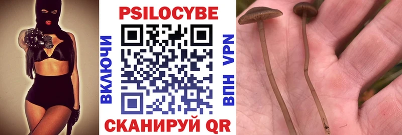 Псилоцибиновые грибы мицелий  Купить  Волхов 